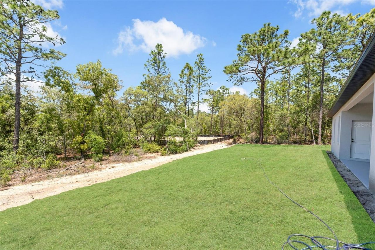 8812 N Lansen Way, Citrus Springs, FL 34434 Photo
