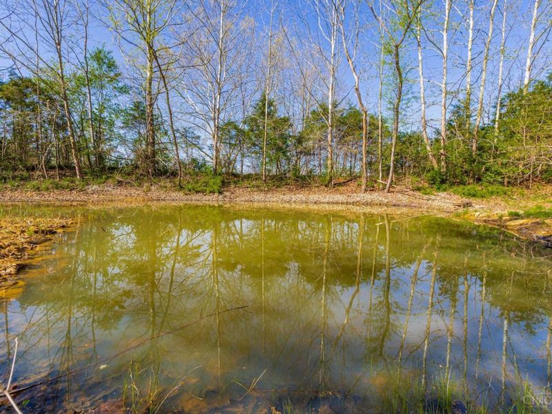 6930 St Rt 73, Franklin Twp, OH 45660 Photo 10