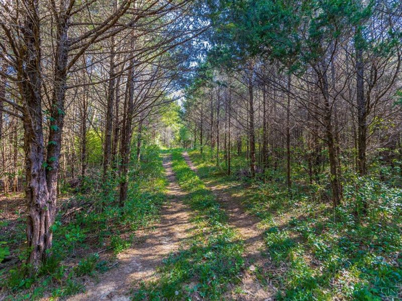 6930 St Rt 73, Franklin Twp, OH 45660 Photo 13