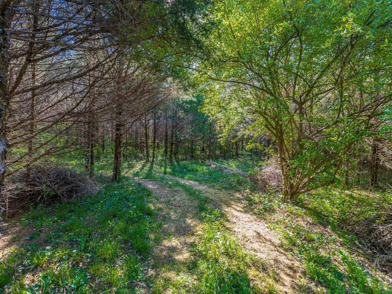 6930 St Rt 73, Franklin Twp, OH 45660 Photo 14