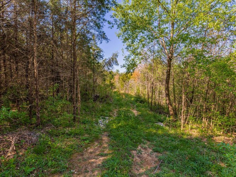 6930 St Rt 73, Franklin Twp, OH 45660 Photo 2