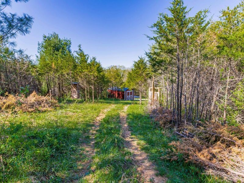 6930 St Rt 73, Franklin Twp, OH 45660 Photo 21