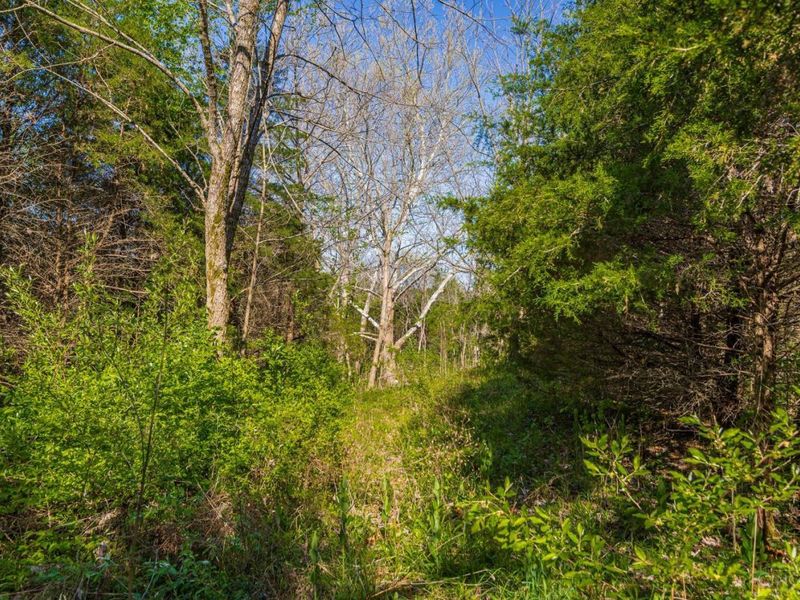 6930 St Rt 73, Franklin Twp, OH 45660 Photo 22