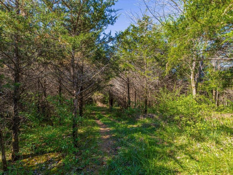 6930 St Rt 73, Franklin Twp, OH 45660 Photo 23