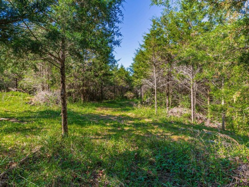 6930 St Rt 73, Franklin Twp, OH 45660 Photo 24