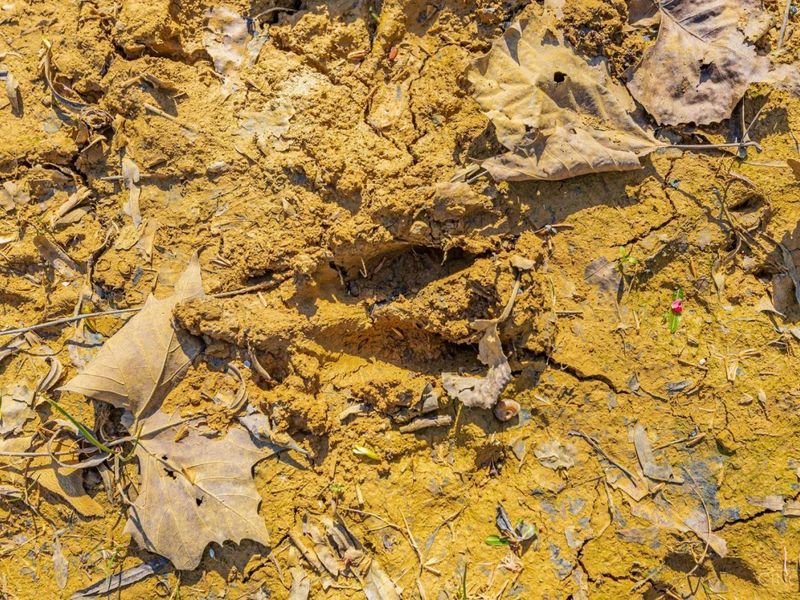 6930 St Rt 73, Franklin Twp, OH 45660 Photo 26