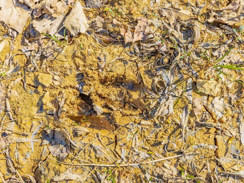 6930 St Rt 73, Franklin Twp, OH 45660 Photo 27