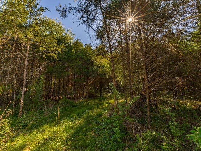 6930 St Rt 73, Franklin Twp, OH 45660 Photo 28