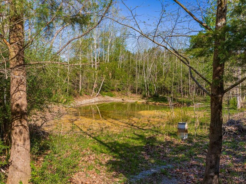 6930 St Rt 73, Franklin Twp, OH 45660 Photo 6