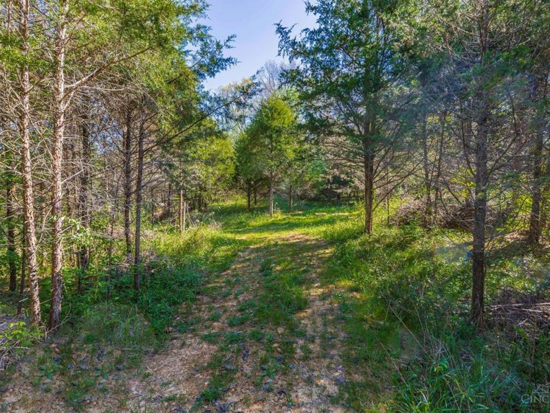 6930 St Rt 73, Franklin Twp, OH 45660 Photo 7