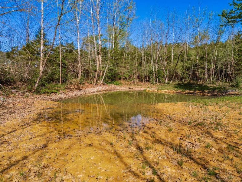 6930 St Rt 73, Franklin Twp, OH 45660 Photo 8