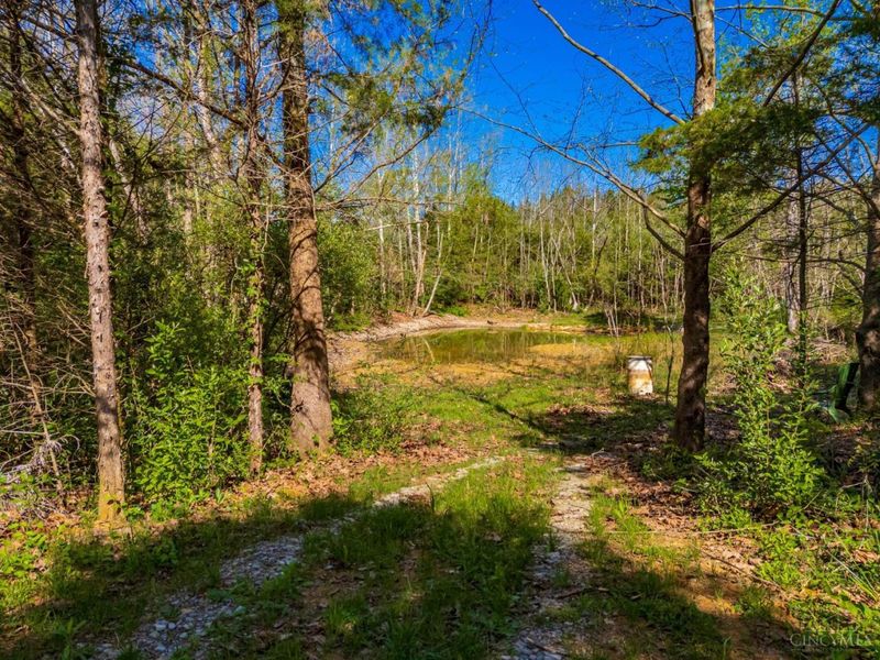 6930 St Rt 73, Franklin Twp, OH 45660 Photo 9