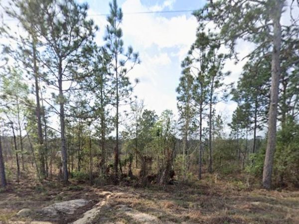 TBD Union Ave, Interlachen, FL 32148