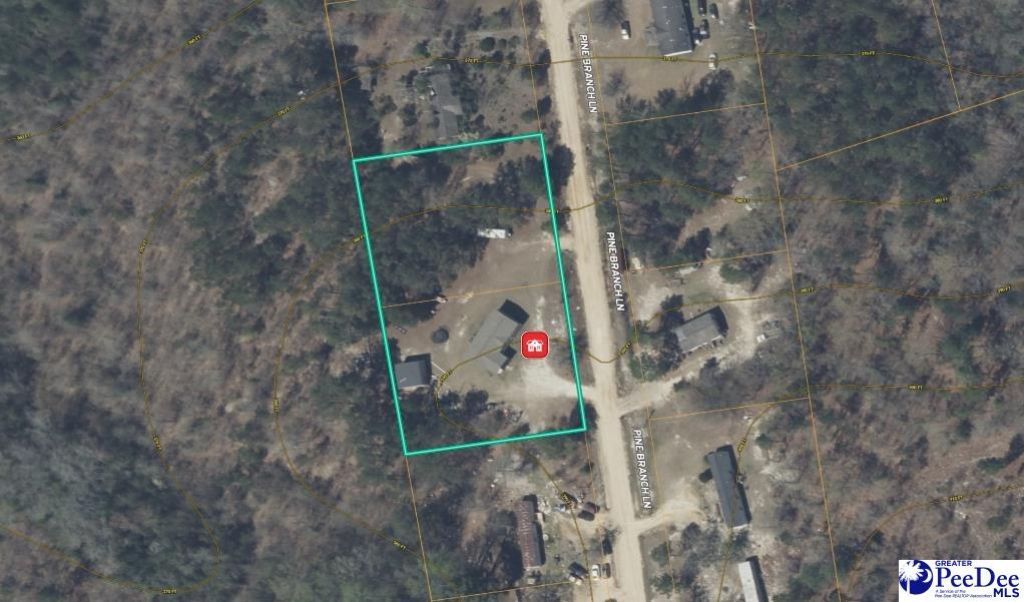 213 Pine Branch Lane Photo 24