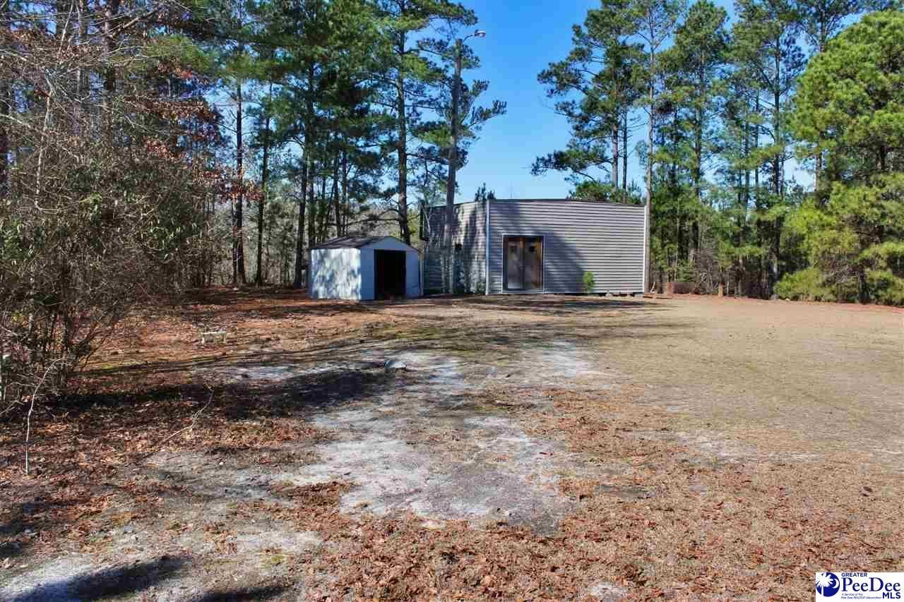 213 Pine Branch Lane Photo 5