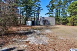 213 Pine Branch Lane photo 4