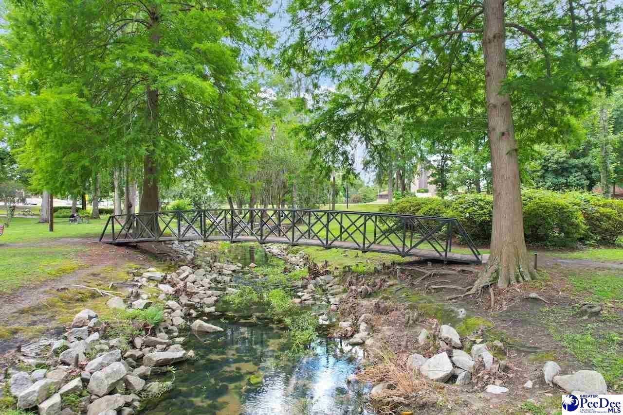 233 Bluff View Lane Photo 21