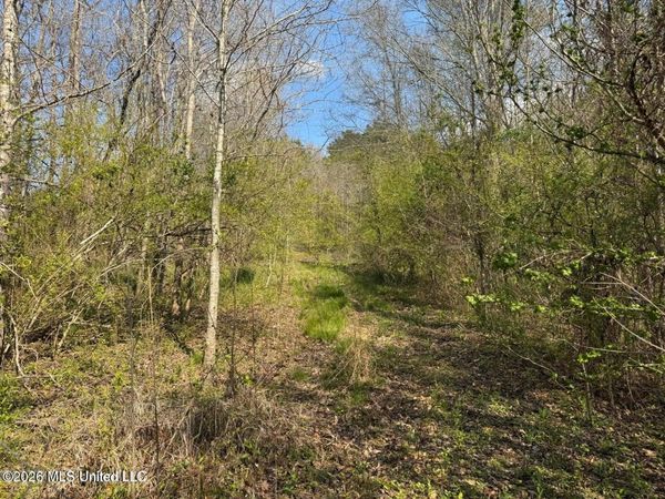 Well Street, Wesson, MS 39191