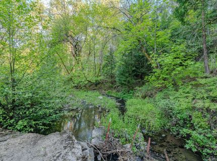 8792 Hidden Valley Rd, Mountain Ranch, CA 95246 Photo