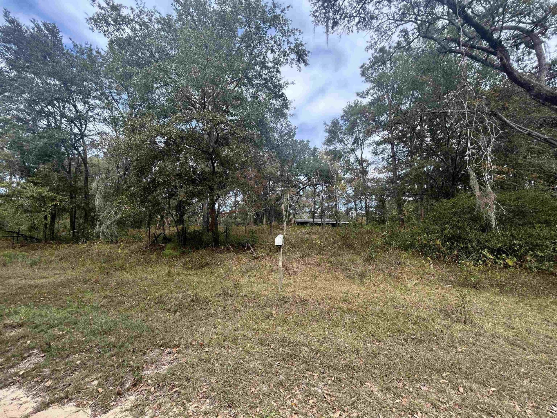 455 E Duckpond Dr Drive, Greenville, FL 32344 Photo