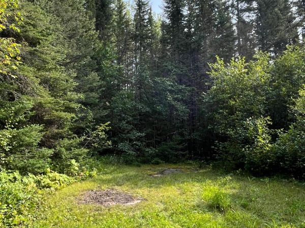 TBD S Lost Lake Road, Hovland, MN 55606