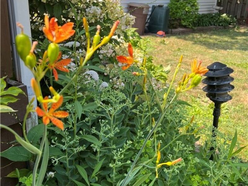 14730 Orchard Park Avenue, Cleveland, OH 44111 Photo 31