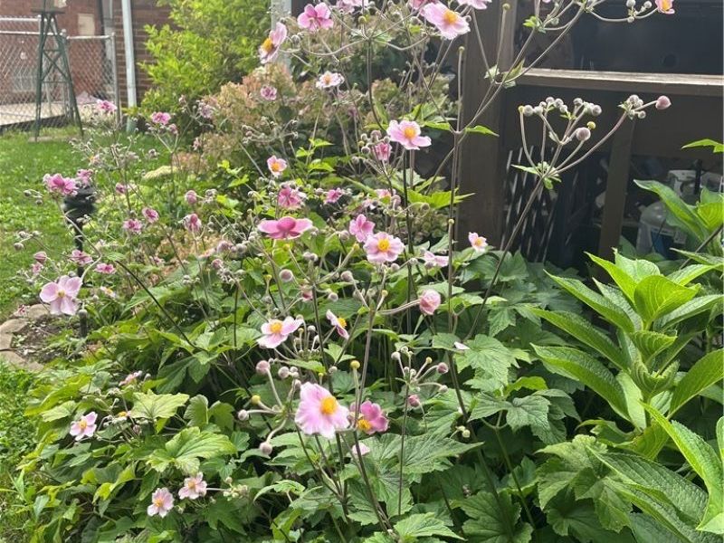 14730 Orchard Park Avenue, Cleveland, OH 44111 Photo 32