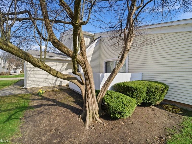 5514 Wrens Lane, Willoughby, OH 44094 Photo 28