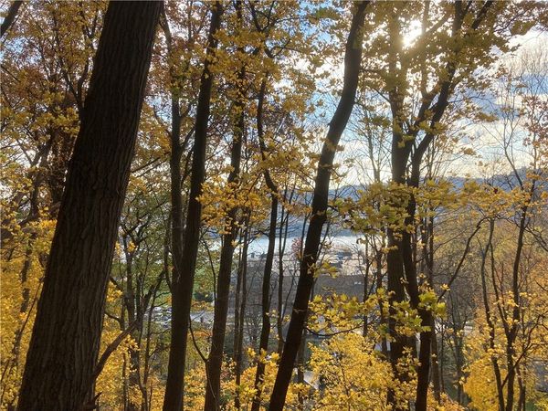 0 Beaver St, Sewickley, PA 15143