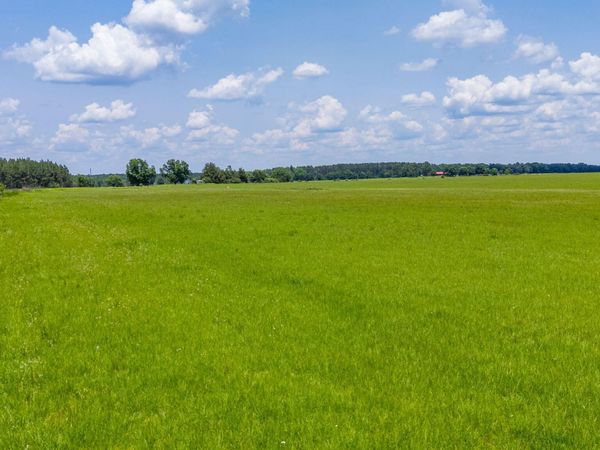 Parcel B Adams Drive, DeFuniak Springs, FL 32433