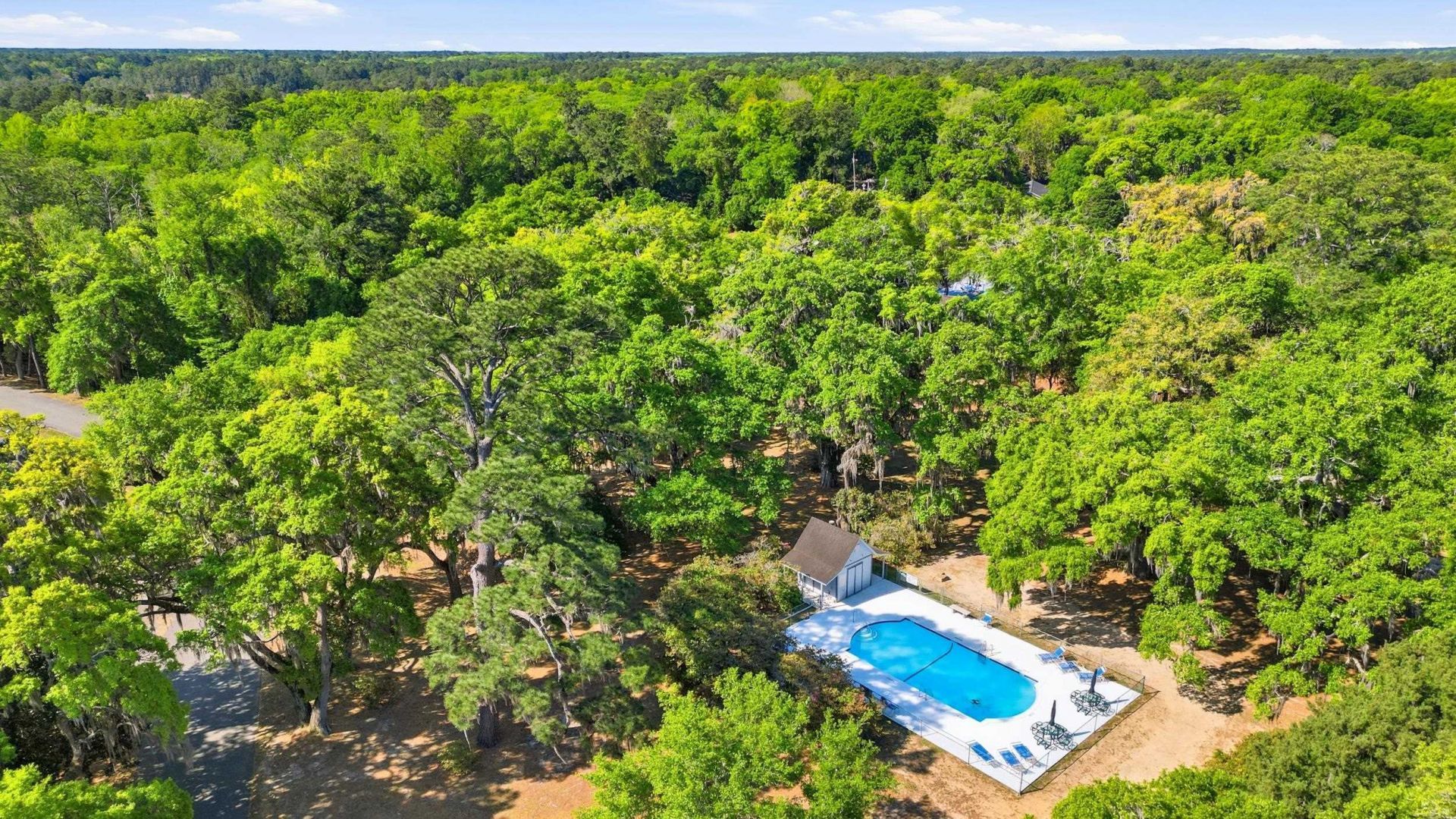 8 Peter Horry Ct.  Photo 28