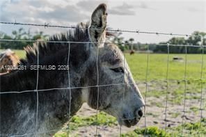 515 Norris Rd, La Belle, FL 33935 Photo