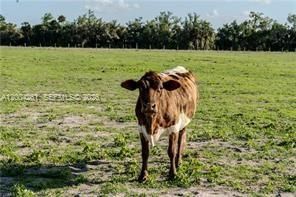 515 Norris Rd, La Belle, FL 33935 Photo