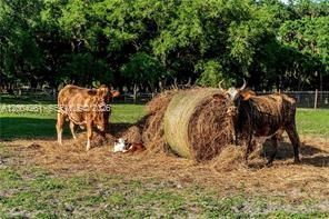515 Norris Rd, La Belle, FL 33935 Photo