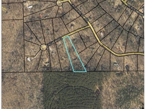 103 Eagle Ridge , Ball Ground, GA 30107