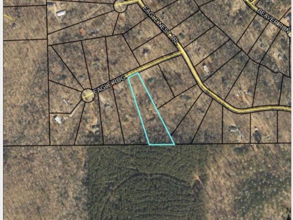 103 Eagle Ridge, Ball Ground, GA 30107