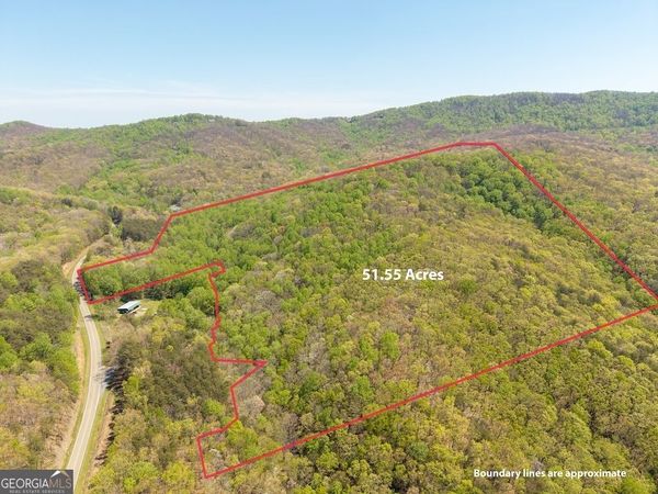 0000 Burnt Mountain Road, Ellijay, GA 30536