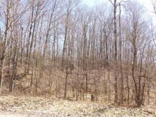 23098 Miramichi Drive, Evart, MI 49631