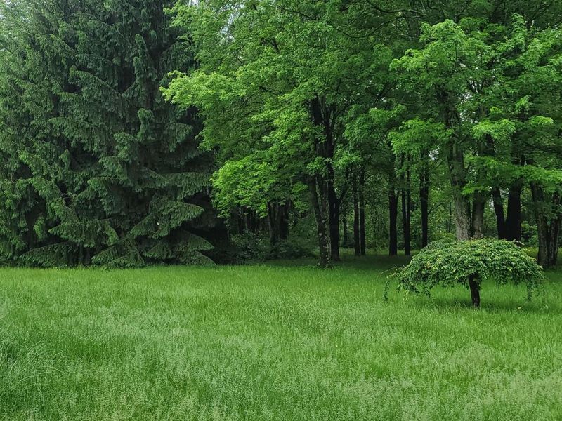 11201 Beaver Road NW, Johnstown, OH 43031 Photo 14