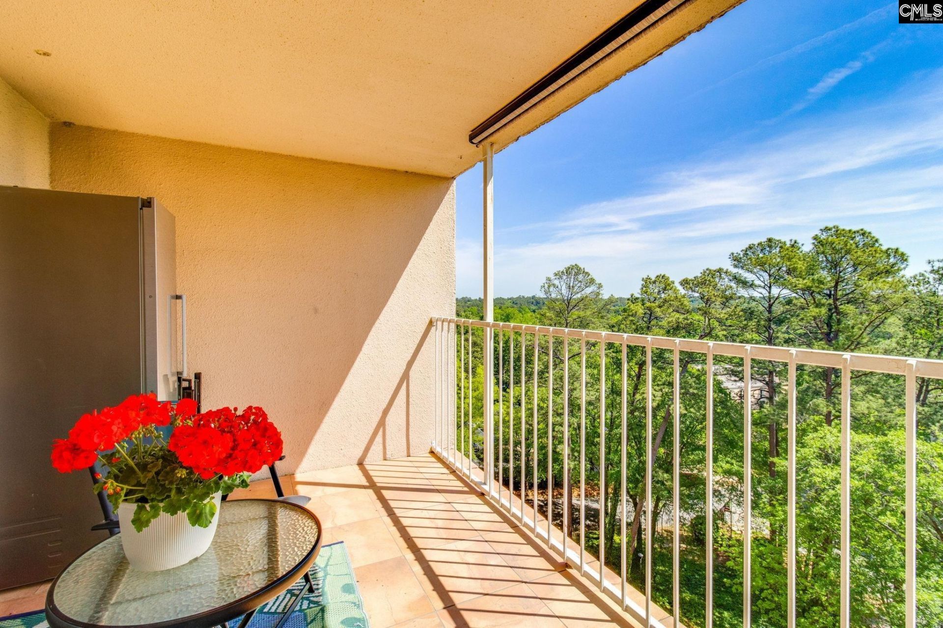 1825 Saint Julian Place  Photo 15