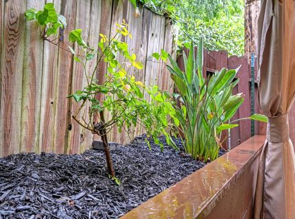 3160 Navion Ct, Cameron Park, CA 95682 Photo