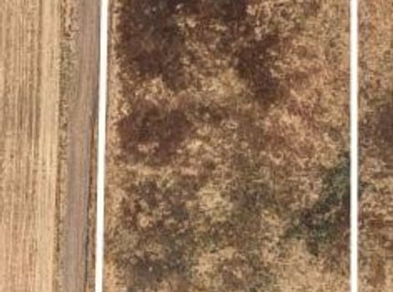 1802 Kasser Rd, Elverta, CA 95626 Photo