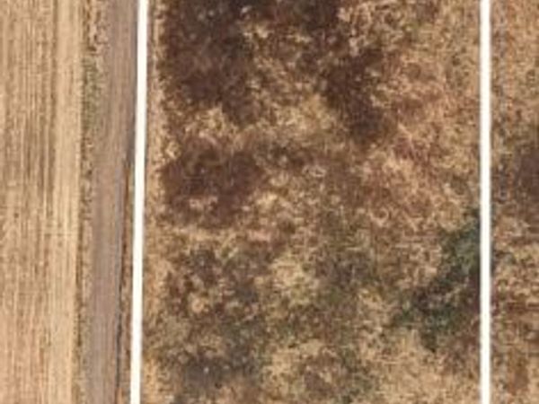 1802 Kasser Rd, Elverta, CA 95626