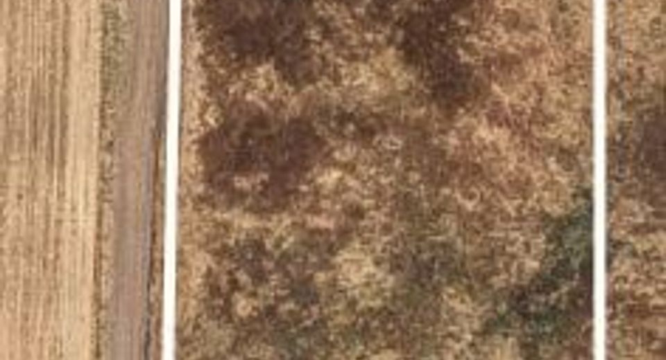 1802 Kasser Rd, Elverta, CA 95626 Photo