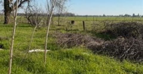 1802 Kasser Rd, Elverta, CA 95626 Photo