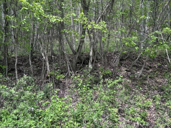 Chimney Rock Rd, New Tazewell, TN 37825