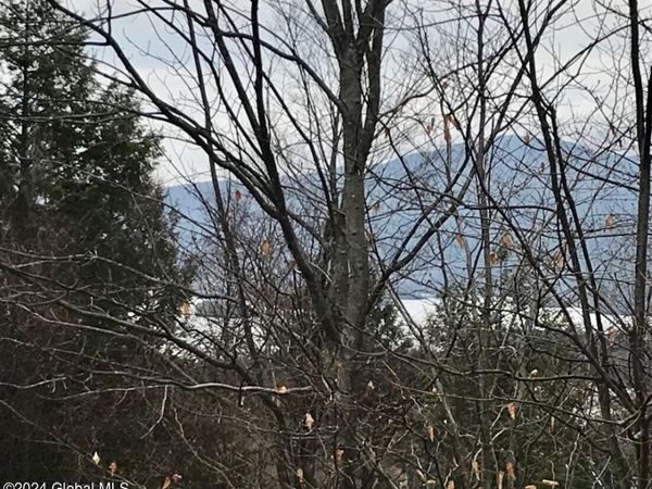 8 Lake Ridge Road, Bolton, NY 12814