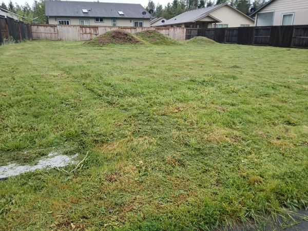 221 Red Cedar Lane, Cave Junction, OR 97523