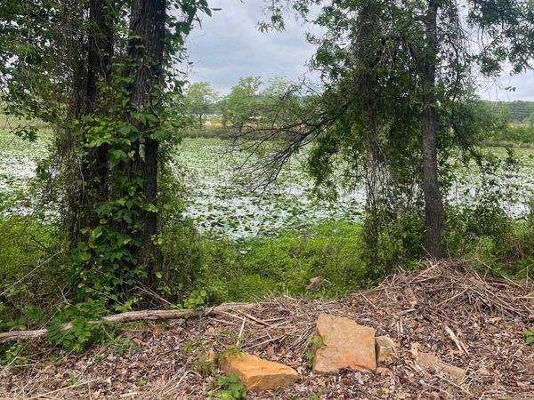 30 Dam Road , Mayflower, AR 72106