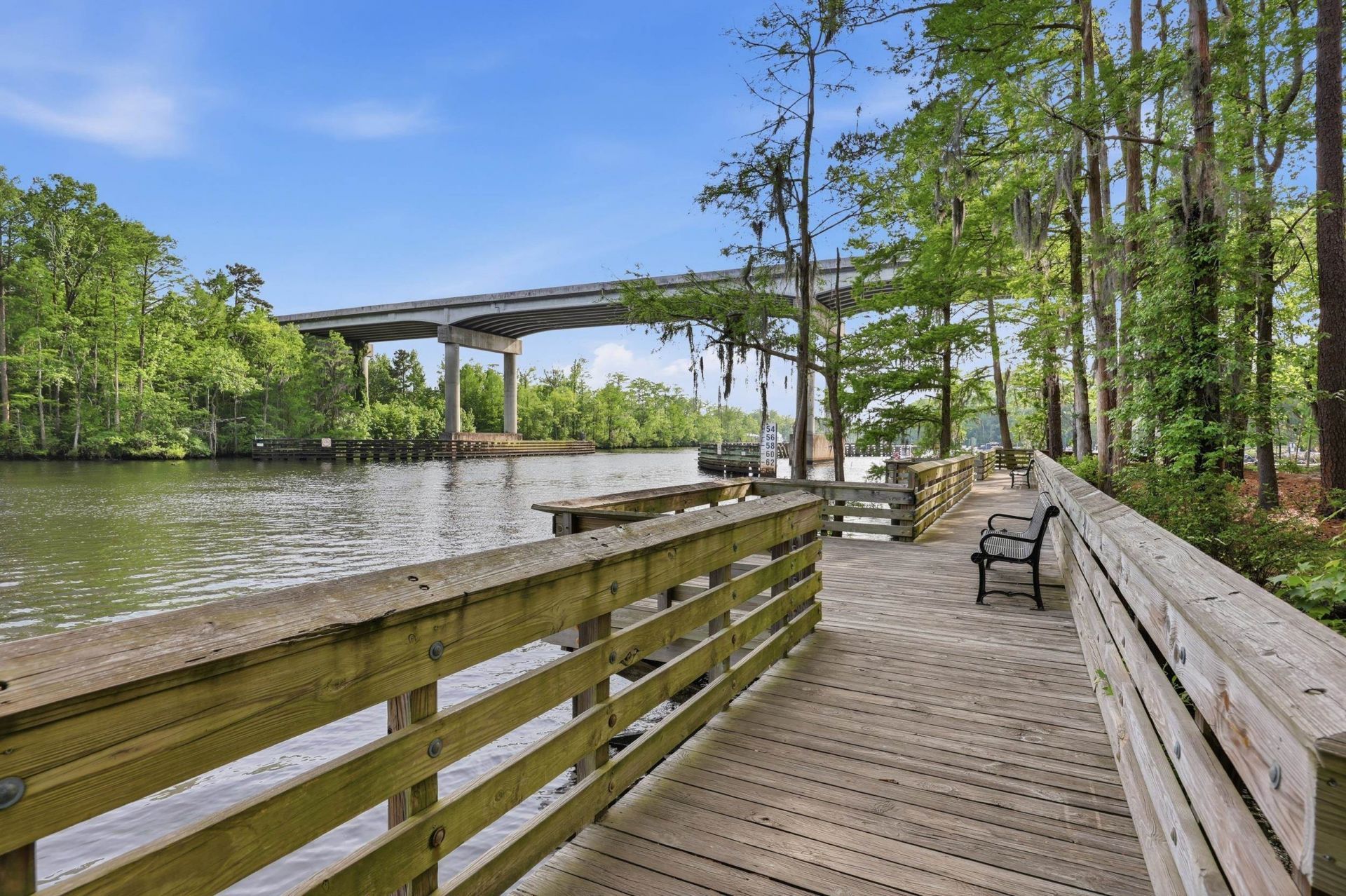 125 Harbor Oaks Dr. Photo 55